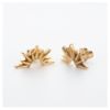 Bild von Ohrstecker "Aurora Halo", gold