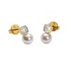 Bild von Ohrstecker "Treasures of the Sea Ocean Glow", gold