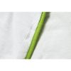 Bild von Bettdecke "Recovery Blanket All Year", 135x200