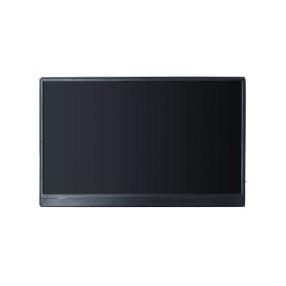 Bild von Tragbarer 15 Zoll Full HD Monitor "PMO-15601", schwarz