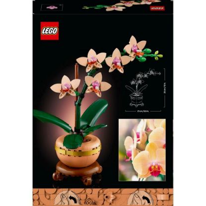 Bild von Bauspielzeug, Mini-Orchidee "Botanical Collection"