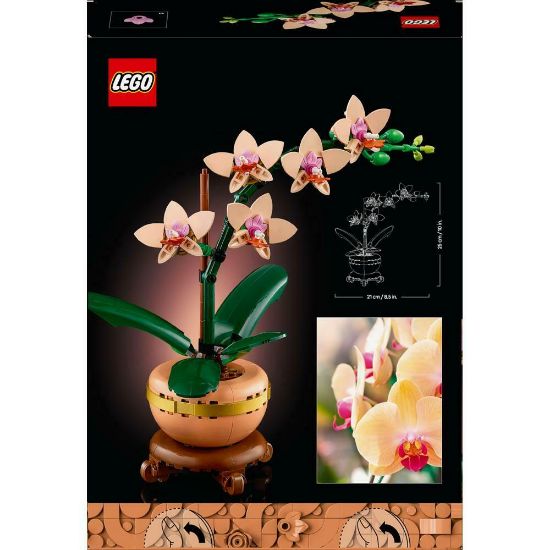 Bild von Bauspielzeug, Mini-Orchidee "Botanical Collection"